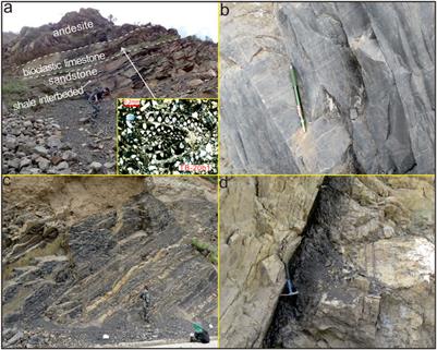 Hydrocarbon Potential of the Late Permian and the Late Triassic Source Rocks from the Qamdo (Changdu) Basin, Eastern Tibet and Its Linkage with the Sea Level Change